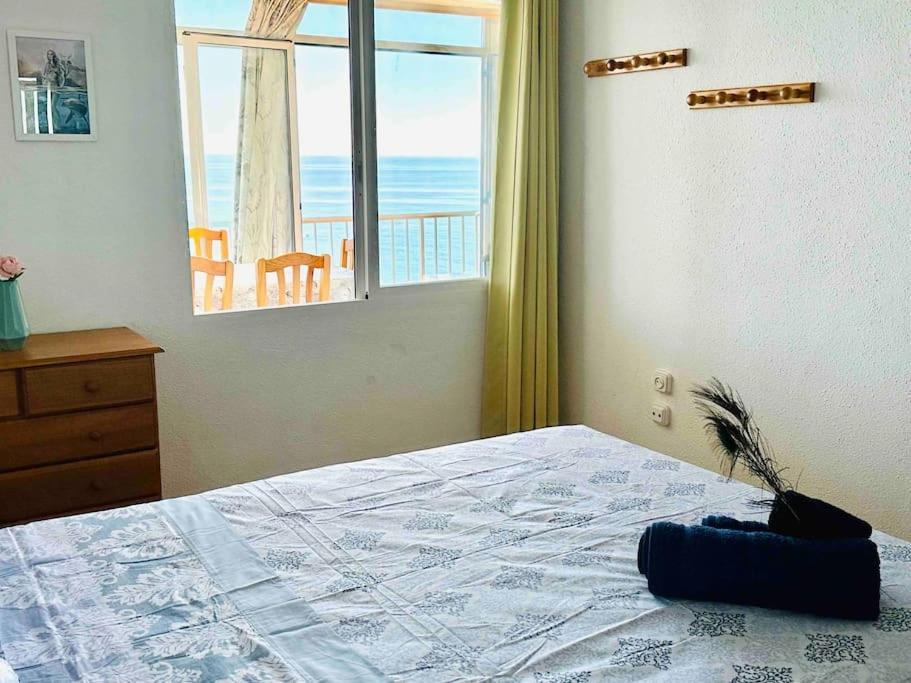 Apartment Oceanfront With Panoramic Seaview *