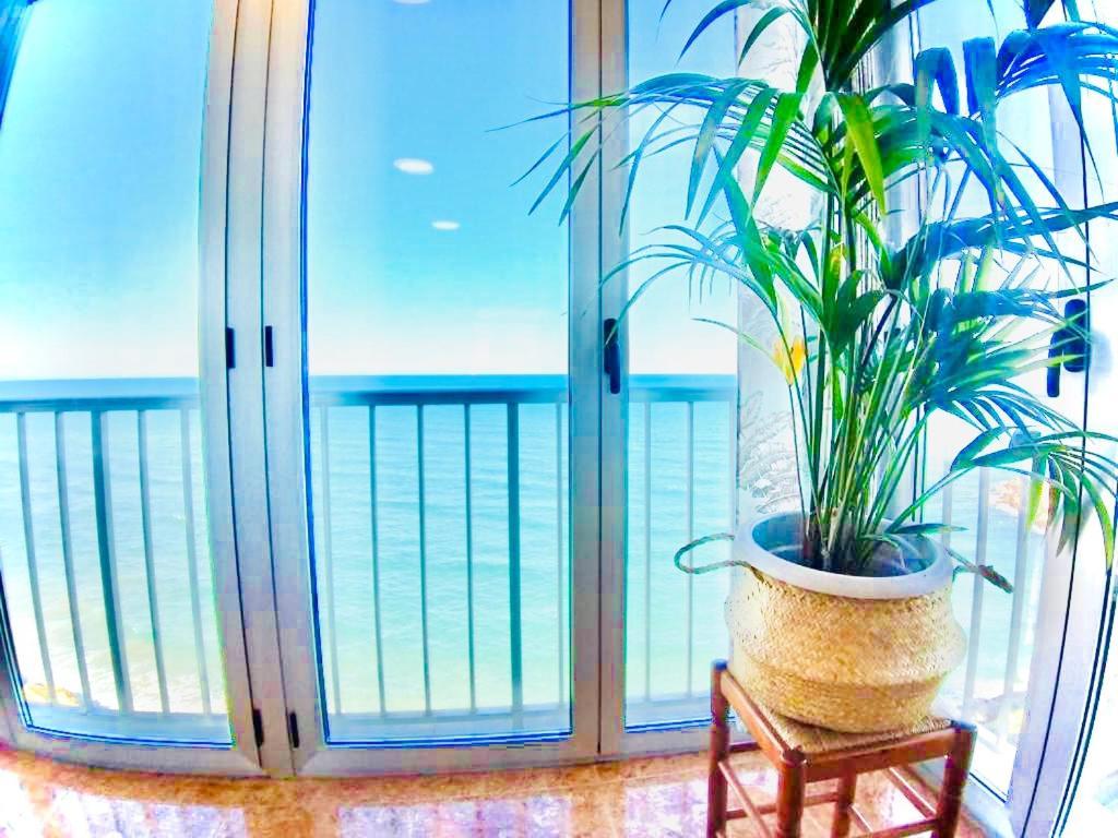 Oceanfront With Panoramic Seaview Apartment